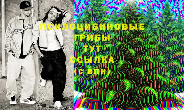 PSILOCYBIN Бородино